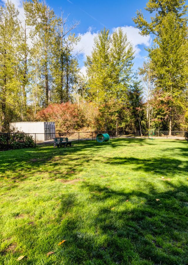 Fenced grassy yard with trees, a small bench, a tunnel, and a storage shed in the background.