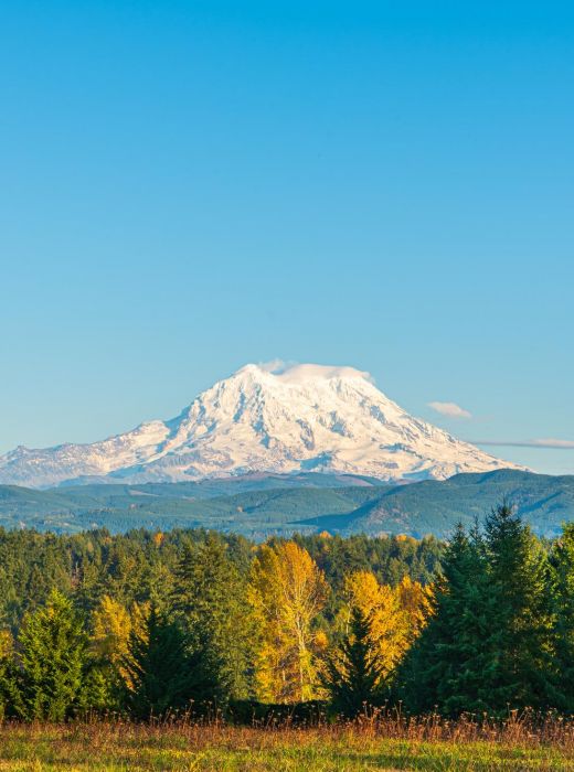 Snow-capped mountain rises above a forest with autumn foliage under a clear blue sky.