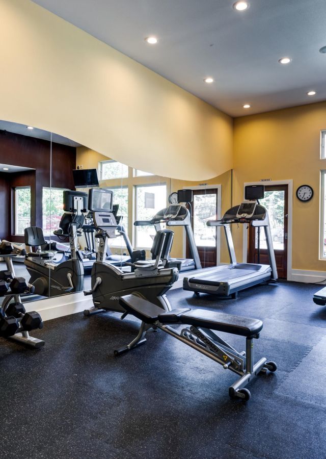 Modern gym with treadmills, weights, benches, mirrors, and large windows letting in natural light.
