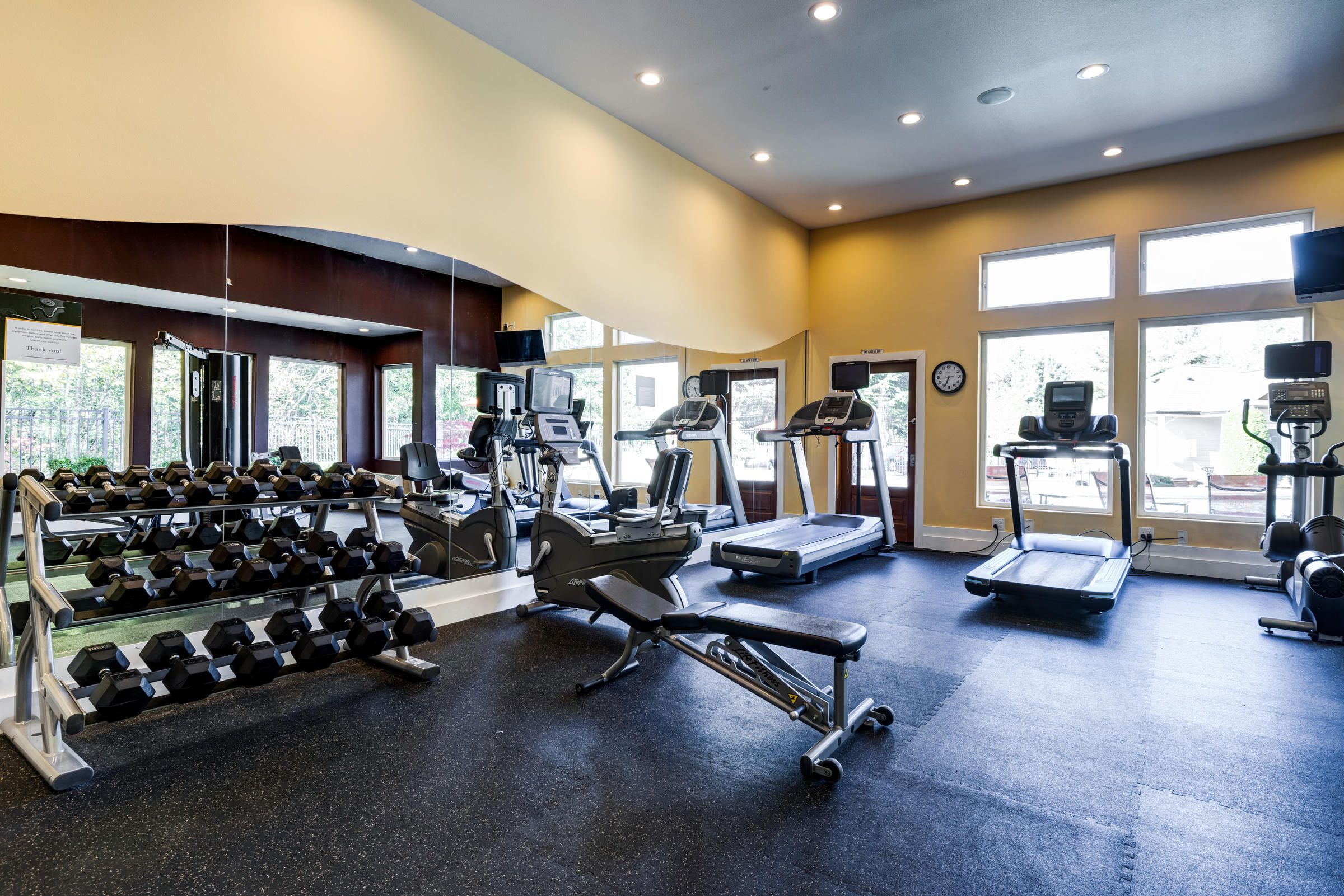 Modern gym with treadmills, weights, benches, mirrors, and large windows letting in natural light.